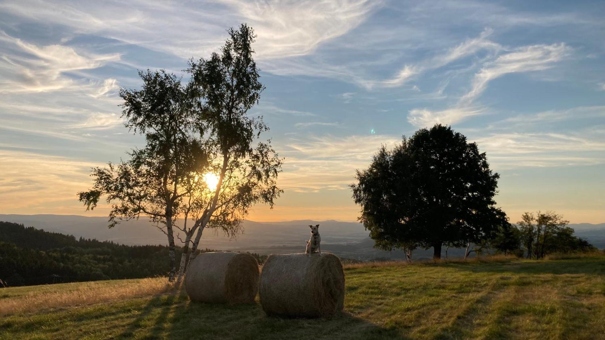 Na Piotrowickiej Przeleczy Villa Bystrzyca Kłodzka Buitenkant foto