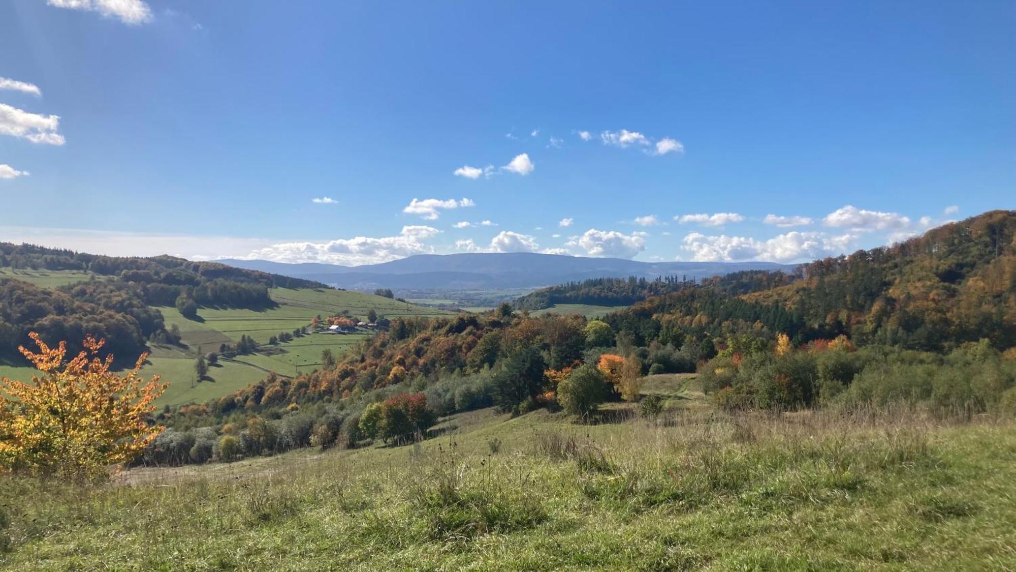 Na Piotrowickiej Przeleczy Villa Bystrzyca Kłodzka Buitenkant foto