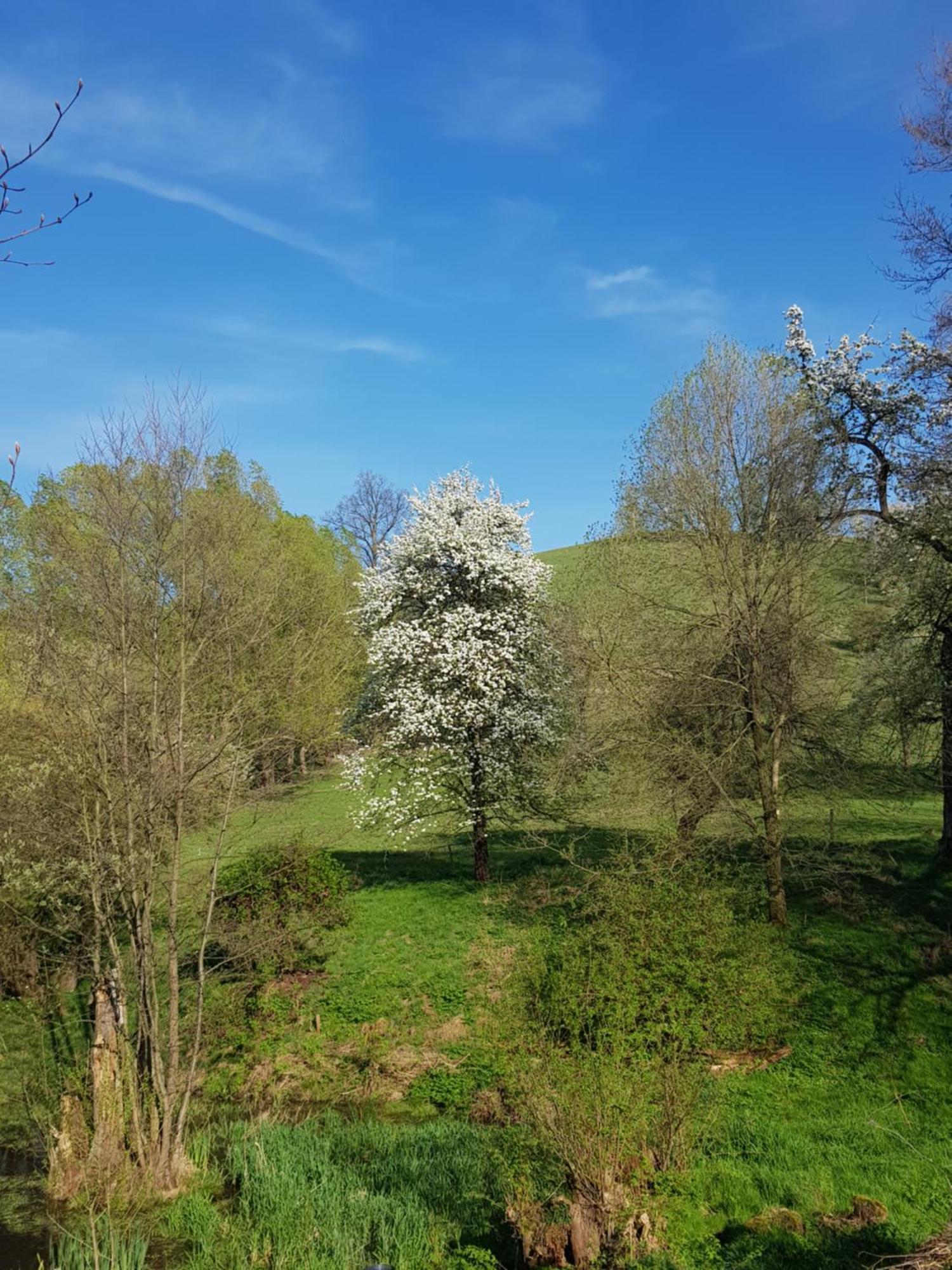 Na Piotrowickiej Przeleczy Villa Bystrzyca Kłodzka Buitenkant foto