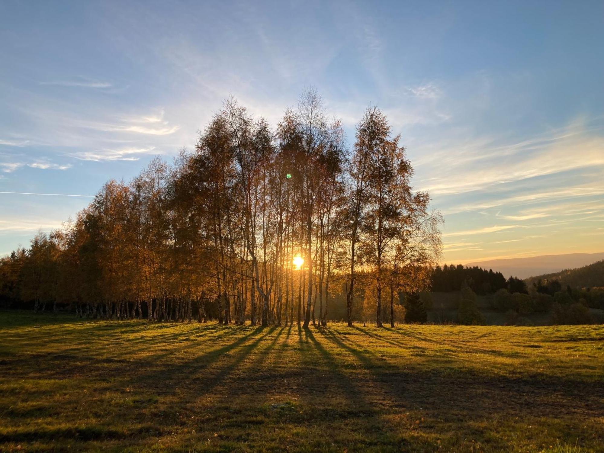 Na Piotrowickiej Przeleczy Villa Bystrzyca Kłodzka Buitenkant foto