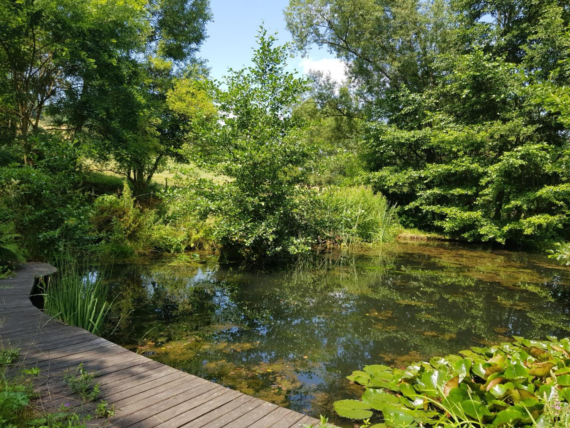 Na Piotrowickiej Przeleczy Villa Bystrzyca Kłodzka Buitenkant foto