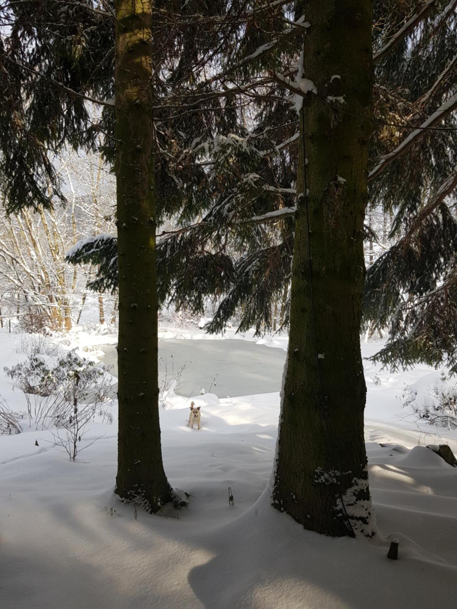 Na Piotrowickiej Przeleczy Villa Bystrzyca Kłodzka Buitenkant foto