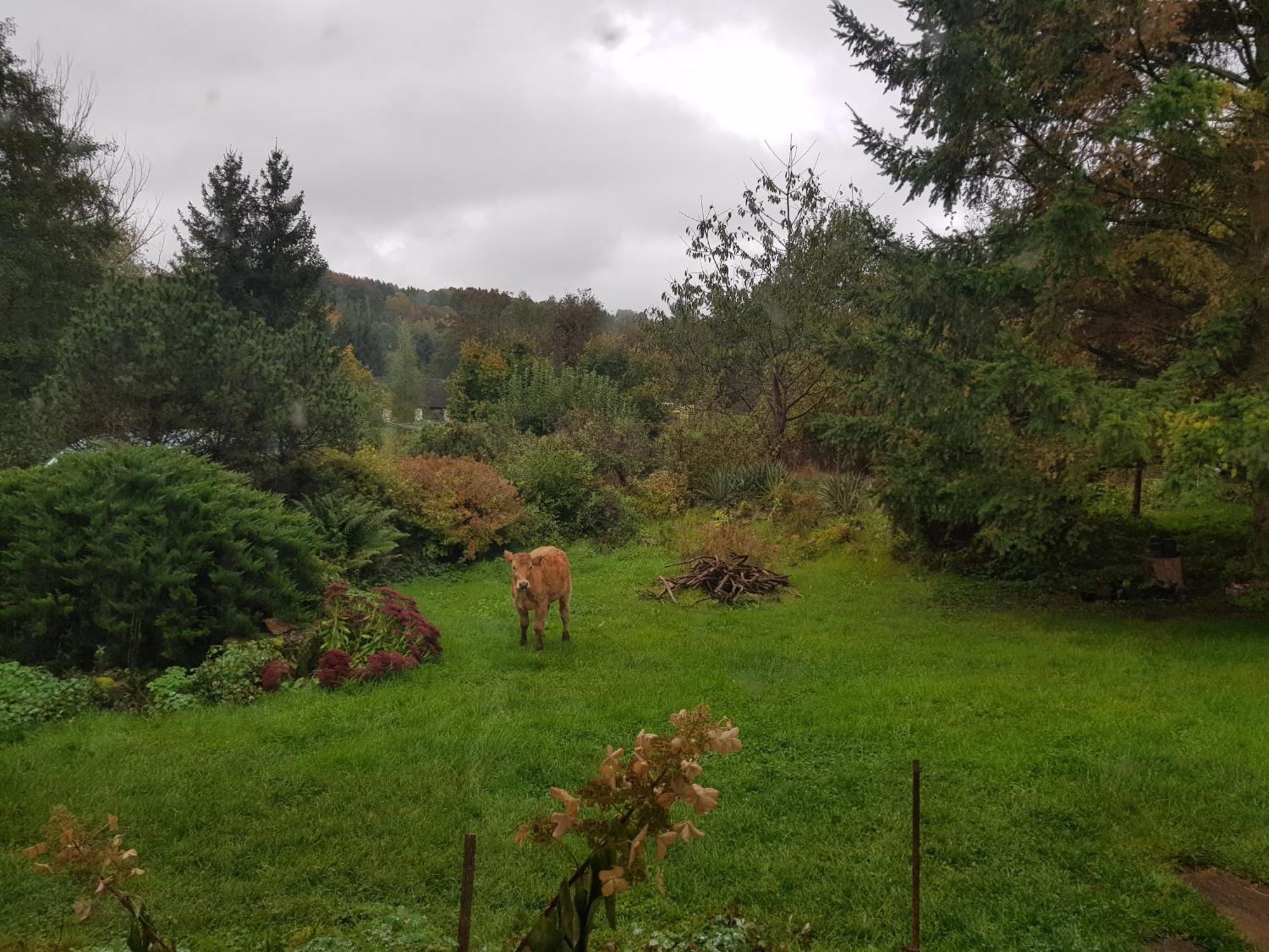 Na Piotrowickiej Przeleczy Villa Bystrzyca Kłodzka Buitenkant foto