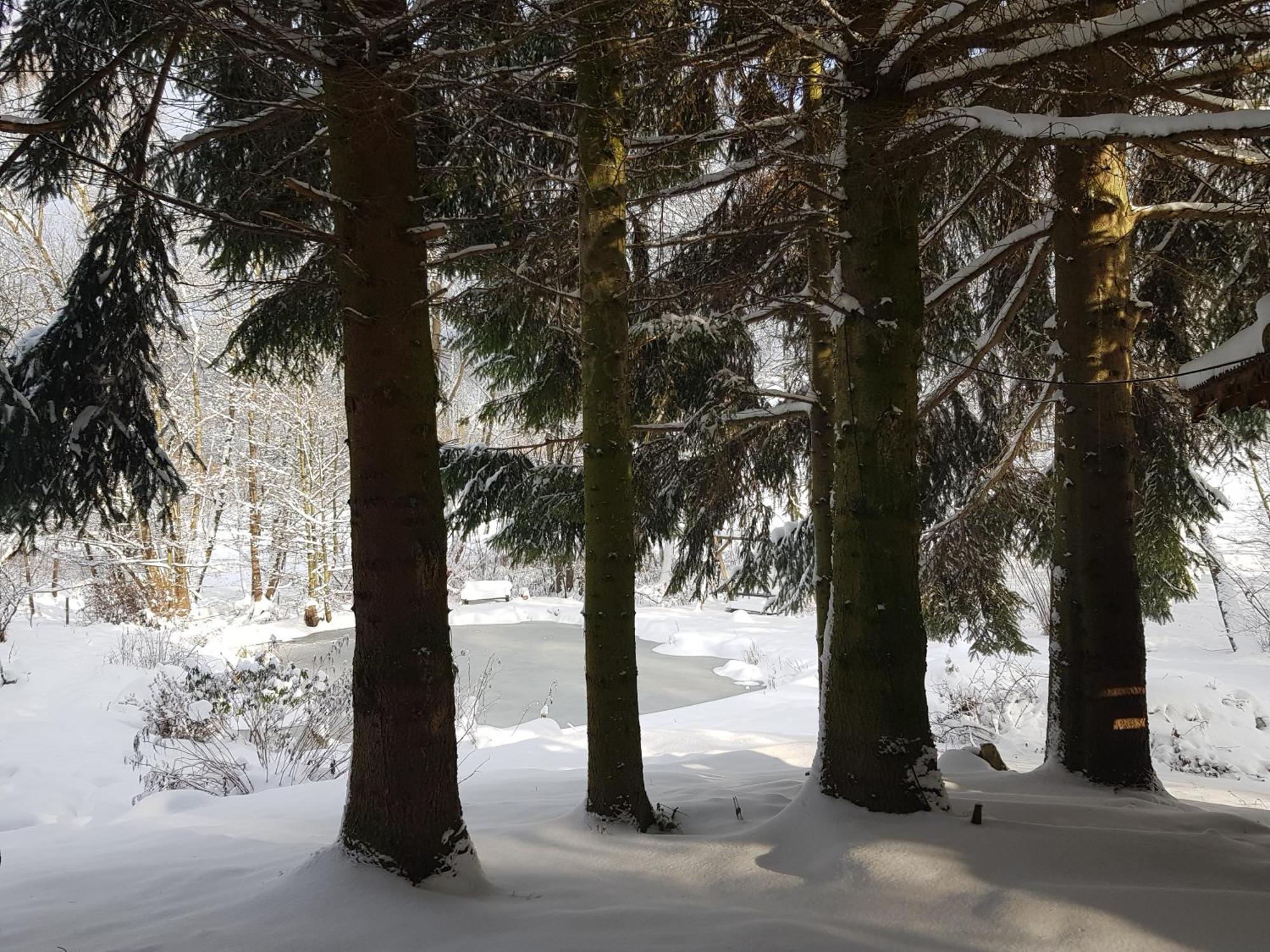 Na Piotrowickiej Przeleczy Villa Bystrzyca Kłodzka Buitenkant foto