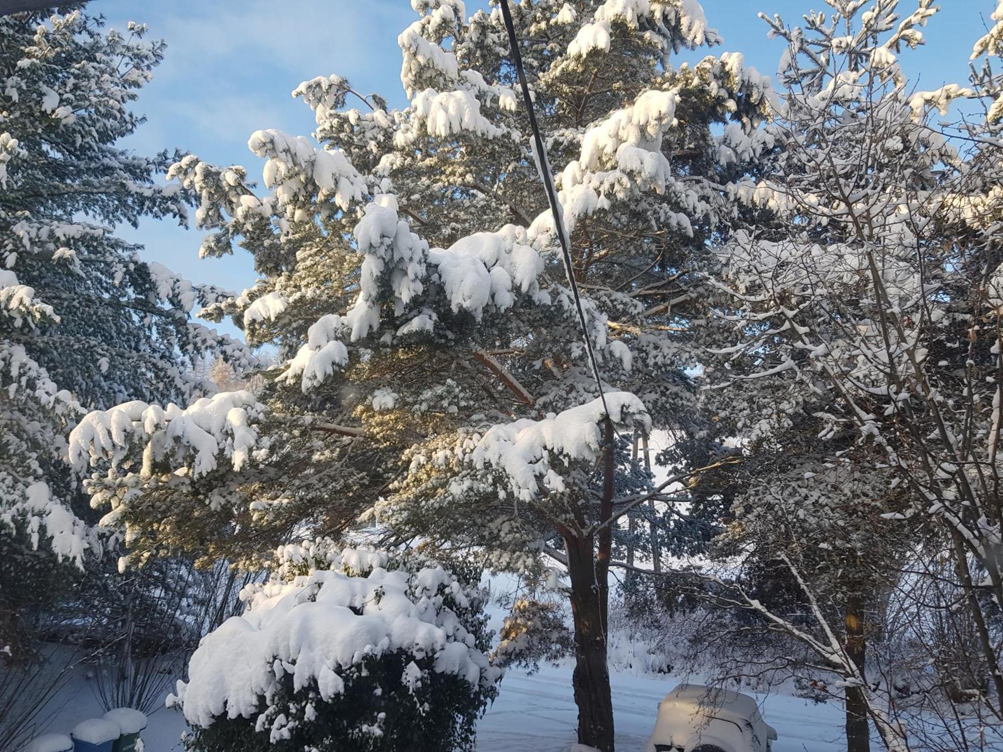 Na Piotrowickiej Przeleczy Villa Bystrzyca Kłodzka Buitenkant foto